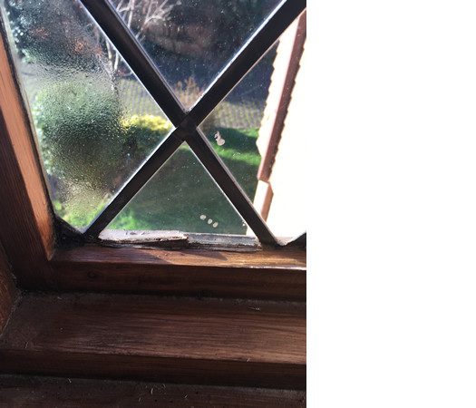 Double Glazing with Condensation