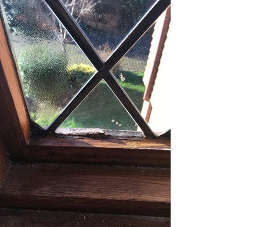 Double Glazing with Condensation